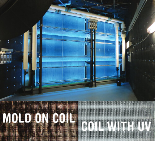 Coil Disinfection
